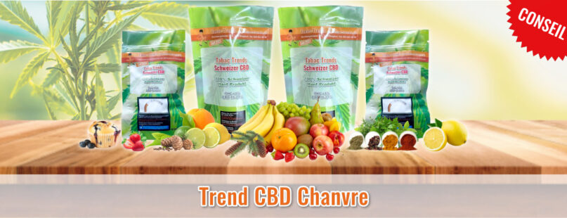 Trend CBD Chanvre