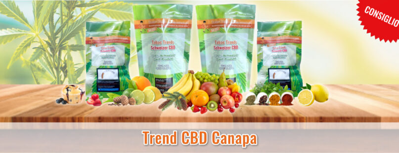 Trend CBD Canapa