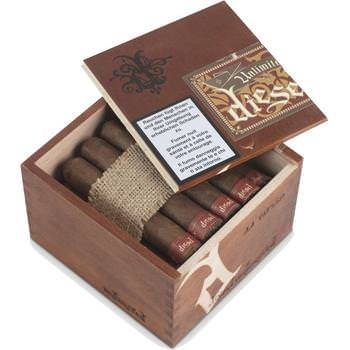 Diesel Unlimited D. 4 Robusto - Kiste offen