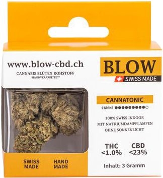 Cannabis-Blüten Orange