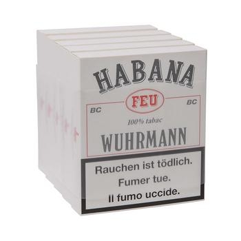 Wuhrmann Habana BC Wüfel