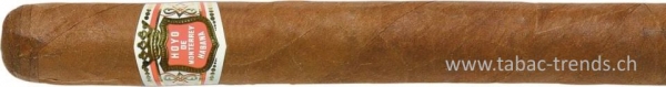 Hoyo de Monterrey Le Hoyo Du Prince 25‘S