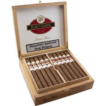 Flor de Copán Churchill Linea Puros - 20 Zigarren