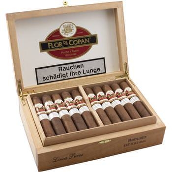 Flor de Copán Robusto Linea Puros - 20 Zigarren