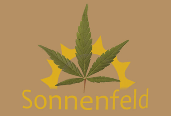 Sonnenfeld Hanf