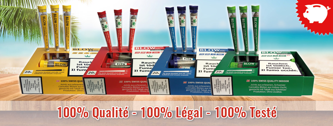 De retour - Joints de cannabis