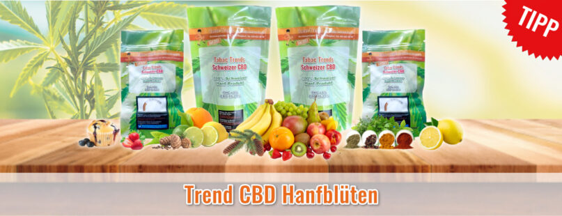 Trend CBD Hanfblüten