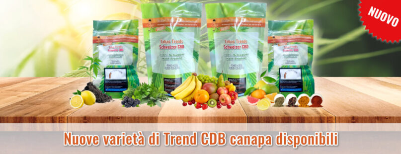 Nuove varietà di Trend CBD canapa disponibili Nuove varietà di Trend CBD canapa disponibili